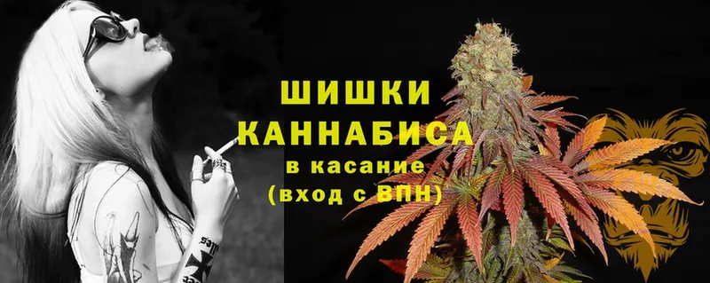 купить   Гулькевичи  Бошки марихуана Bruce Banner 